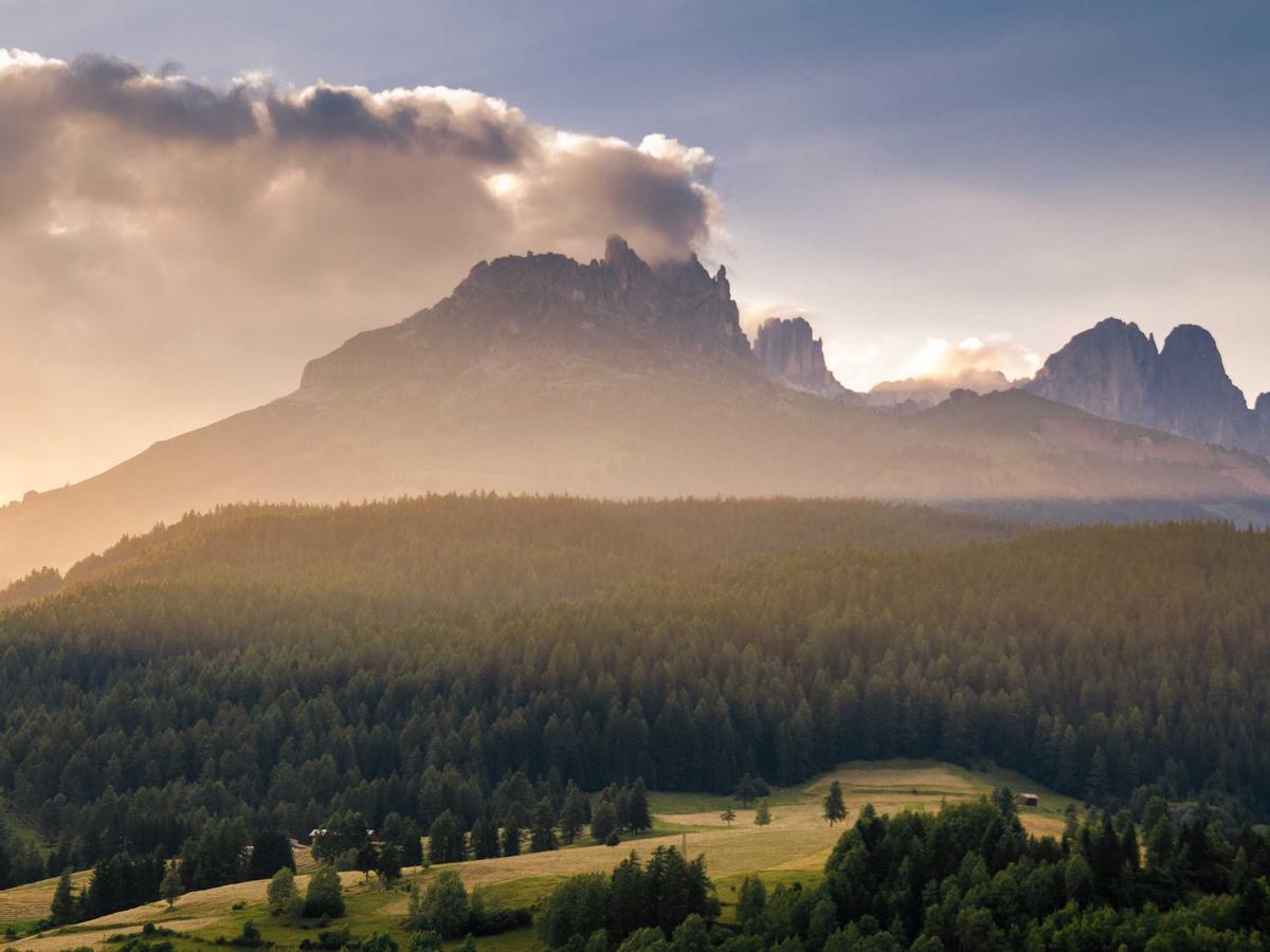 Jagged peaks above a green meadow